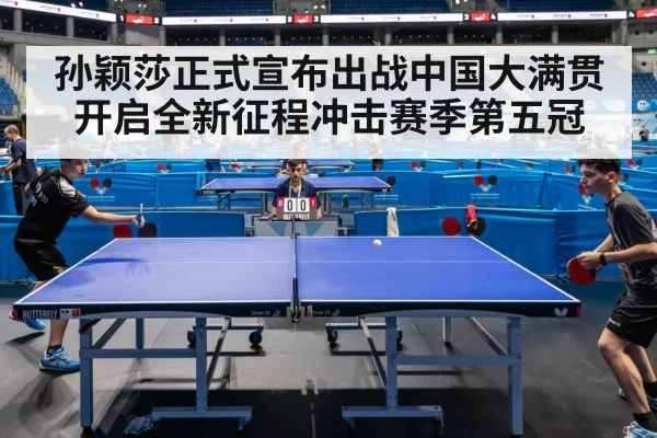 professional table tennis match