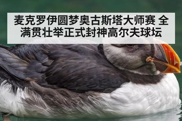 麦克罗伊圆梦奥古斯塔大师赛 全满贯壮举正式封神高尔夫球坛